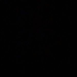 Meet your Posher, Annabelle